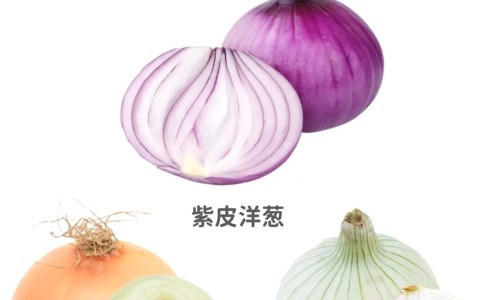 治滴虫的药口服有哪些-滴美虫药的作用是什么网 - 为你提供滴美虫药的作用是什么呢、治滴虫病的药有哪些